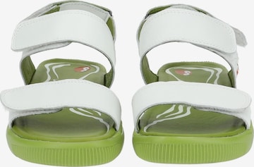Softinos Strap Sandals in White