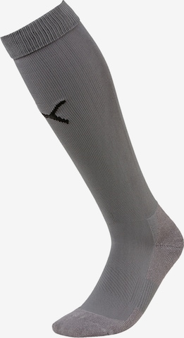 PUMA Soccer Socks 'Team Liga' in Grey: front
