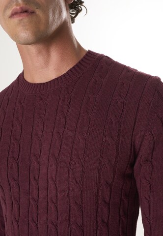 Felix Hardy Pulover | rdeča barva