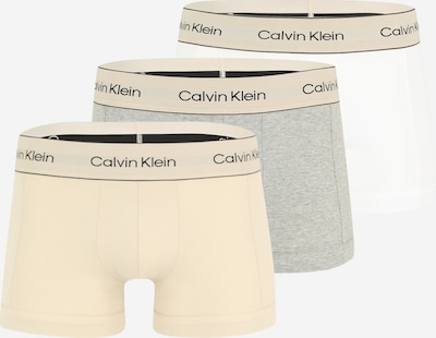 Calvin Klein Underwear Bokserki w kolorze beżowy / nakrapiany szary / czarny / białym, Podgląd produktu