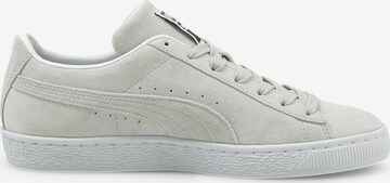 PUMA Nizke superge 'Classic XXI' | siva barva