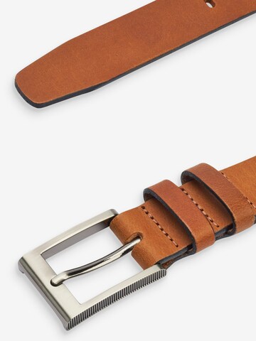 Next Belt in Brown