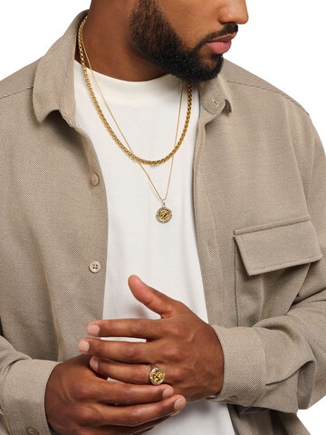 Thomas Sabo Necklace in Gold: front