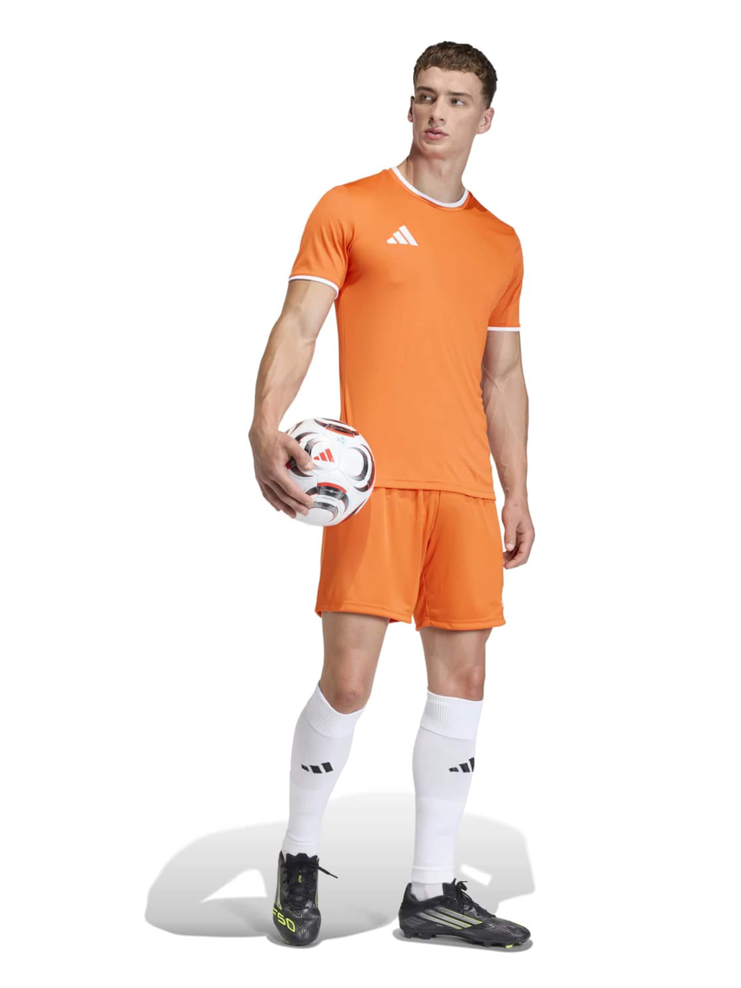 ADIDAS PERFORMANCE - Regular Calças de desporto 'ENT26' em laranja