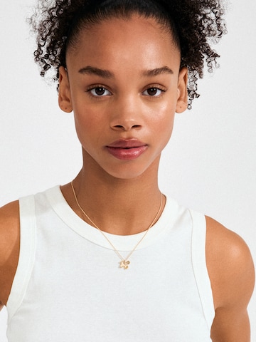 zelts Pilgrim Ķēdīte 'Ajani': no priekšpuses