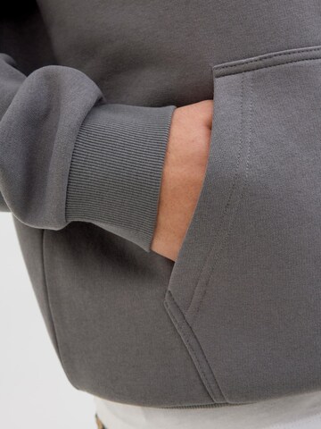JACK & JONES - Sudadera en gris