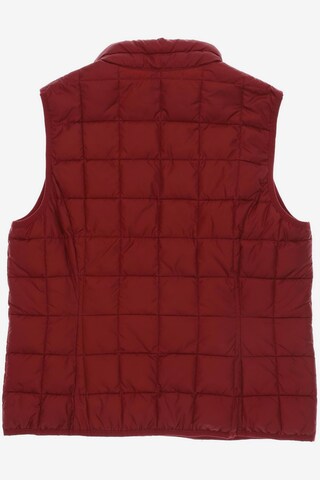 TAIFUN Vest in XL in Red