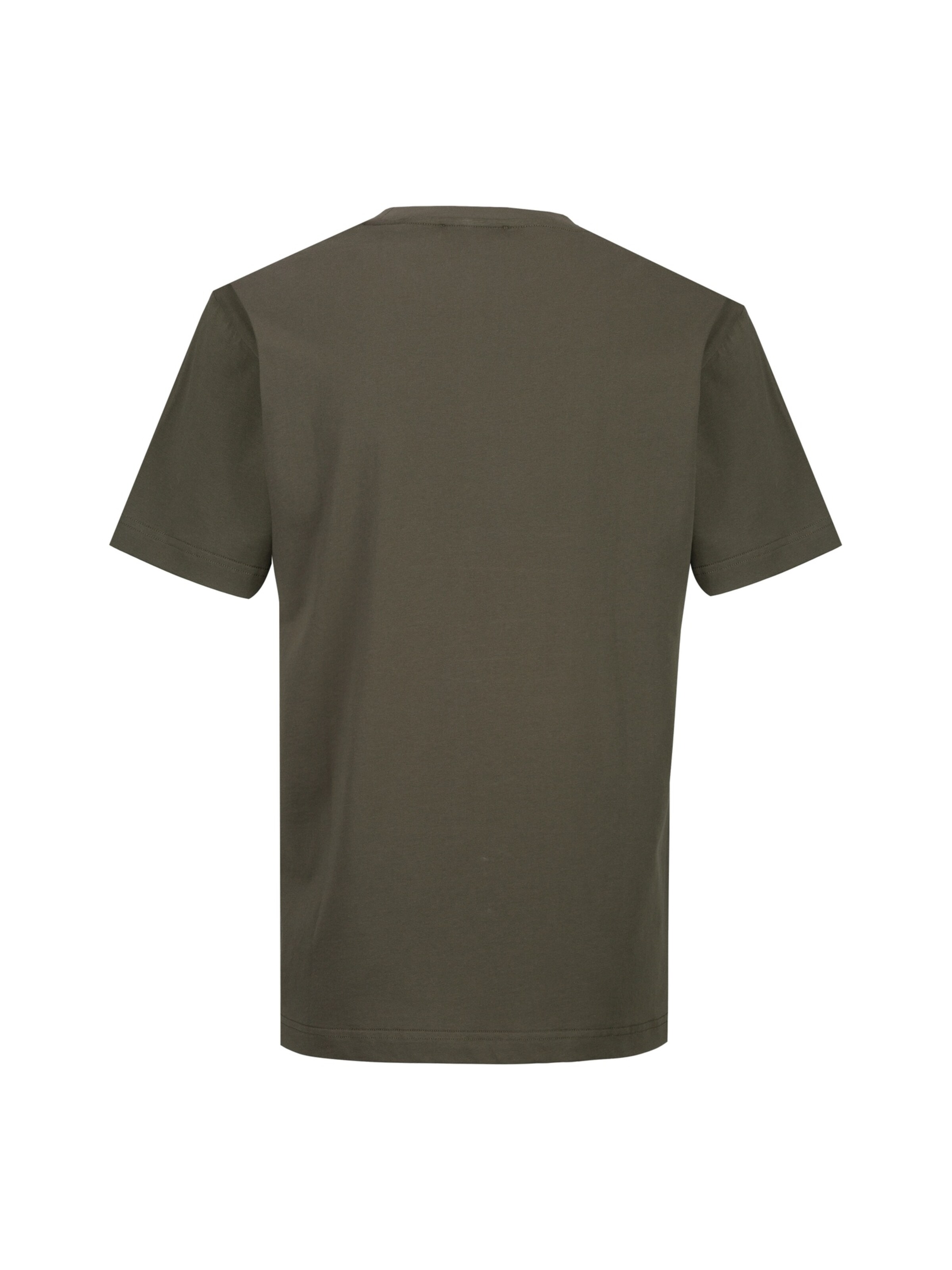 19V69 ITALIA Shirt 'Rafael Baroque Teddy Cool' in Green