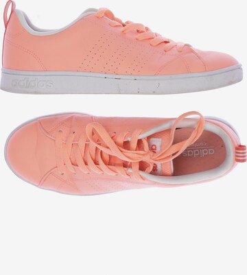 ADIDAS NEO Sneakers & Trainers in 39,5 in Orange: front