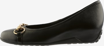 Escarpins 'Selma' Högl en noir : devant