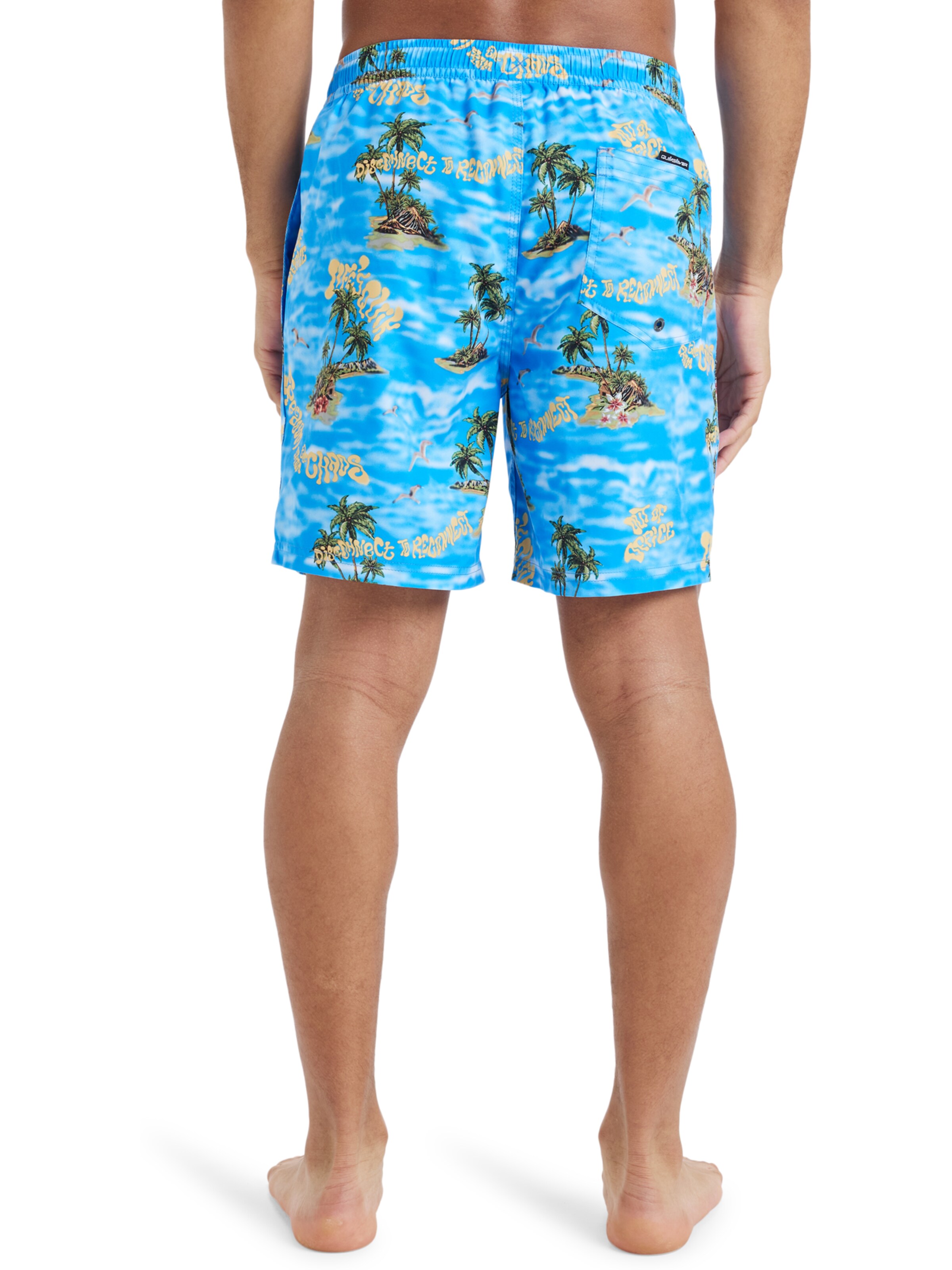 QUIKSILVER Swimming shorts 'Everyday Straight Volley 17' in Blue