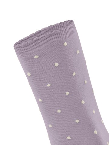 FALKE Socken 'Spike'‌‌‌ in Lila