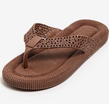 Brasileras - Sandalias de dedo 'Flopee' en marrón: frente