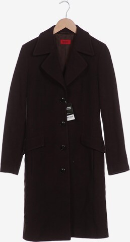 HUGO Jacket & Coat in L in Brown: front