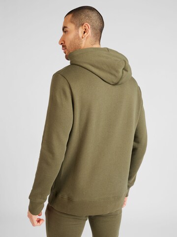 AÉROPOSTALE Sweatshirt in Green