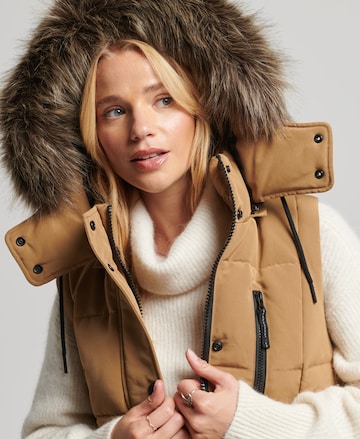 Gilet Superdry en marron