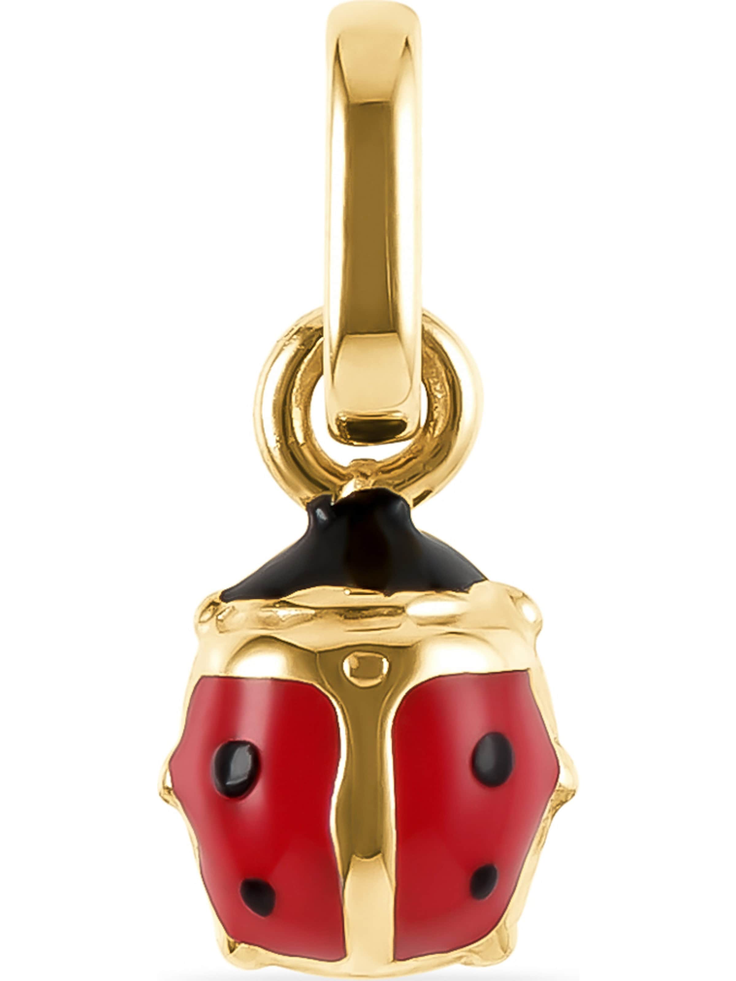 FAVS Kette in Gold: Vorderseite