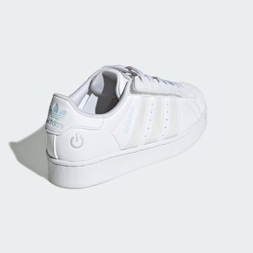 ADIDAS ORIGINALS Sneakers 'Superstar' in Wit