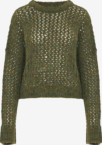 žalia Funky Buddha Megztinis: priekis