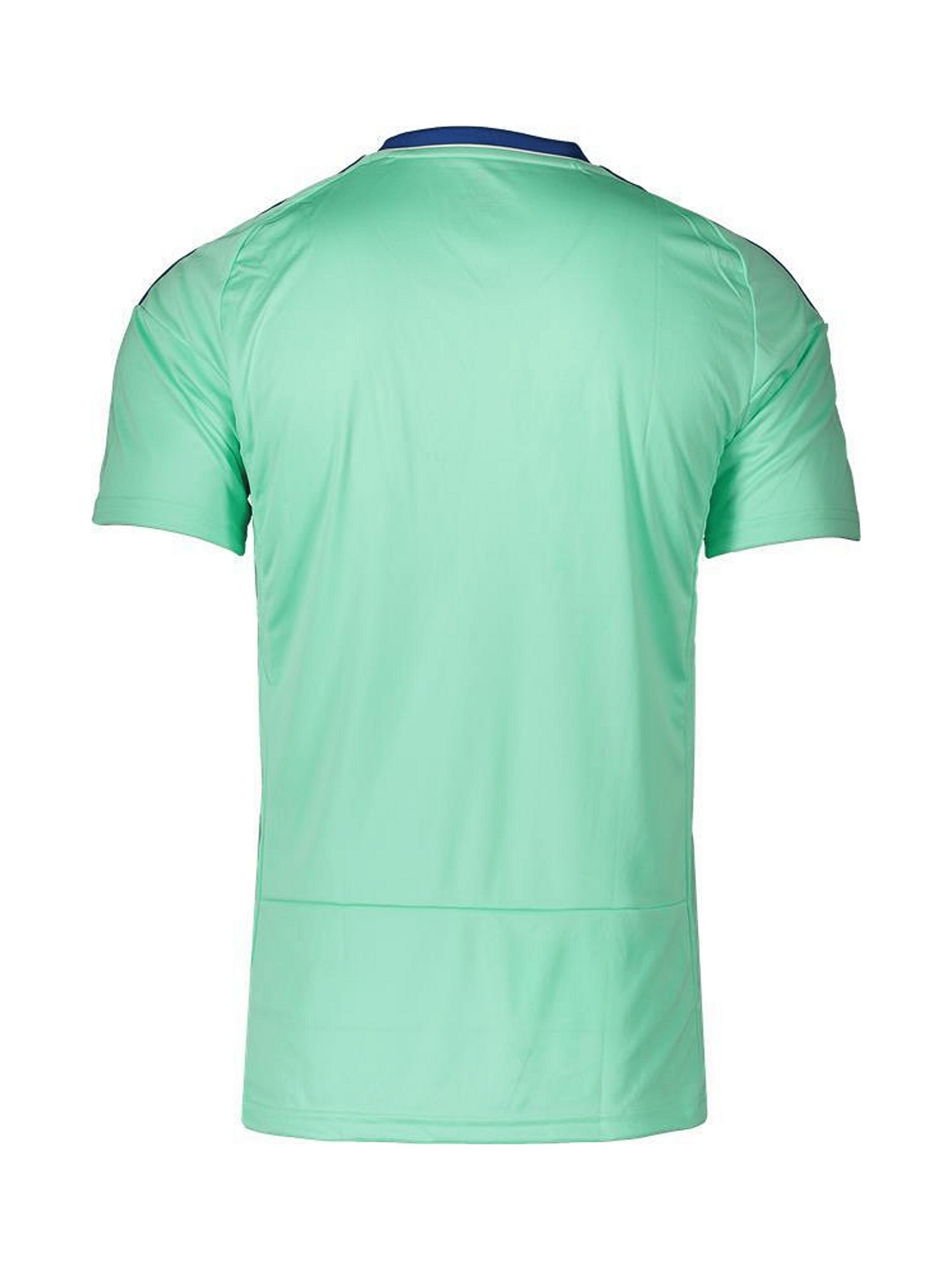 ADIDAS PERFORMANCE Performance Shirt in Green