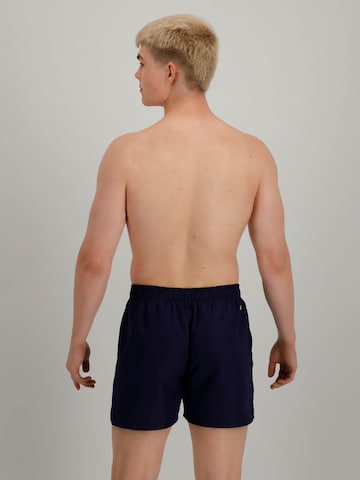 Nike Swim Regular Board Shorts in Blue