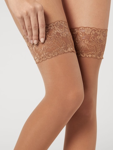 CALZEDONIA Overknee Strümpfe in Beige