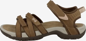 TEVA Sandals 'Tirra' in Brown