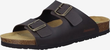 DR. BRINKMANN Mules 'Pantoletten BONILLO' in Brown: front