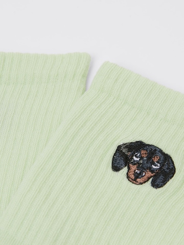 CALZEDONIA Socks 'Dog' in Green