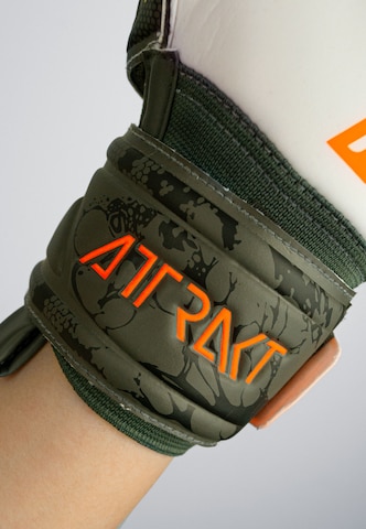REUSCH Athletic Gloves 'Attrakt Solid' in Mixed colors