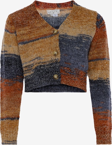 Tanuna Sweater 'Tanuna' in Brown: front
