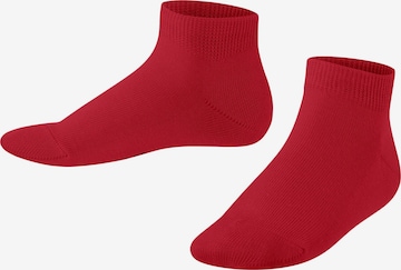 FALKE Socks 'Family' in Red: front
