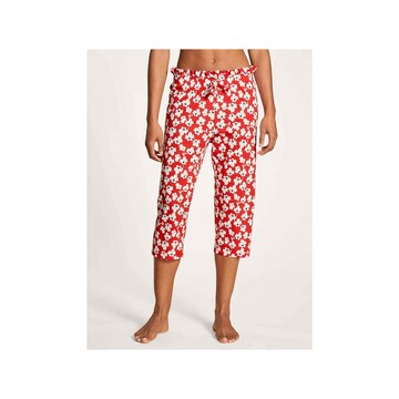 CALIDA Regular Pants in Red: front