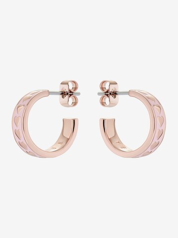 Ted Baker Earrings 'EMRIE' in Gold