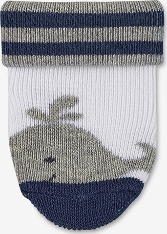 STERNTALER Socken 'Wal' in Blau