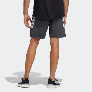 ADIDAS SPORTSWEAR Regular Sportshorts in Grau