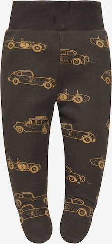 Pinokio Regular Pants in Brown: front