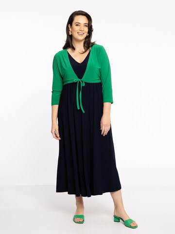 Yoek Knit Cardigan in Green