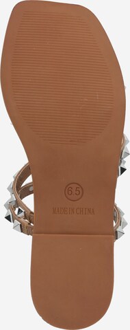 STEVE MADDEN Pantofle 'SKYLER' – béžová