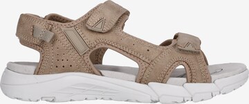 Cruz Sandals 'Auguete' in Brown