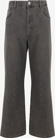 DEF - Vaquero 'Goethe' en gris: frente