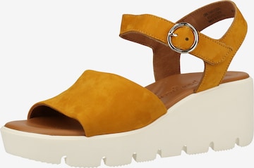 Paul Green Sandals in Yellow: front