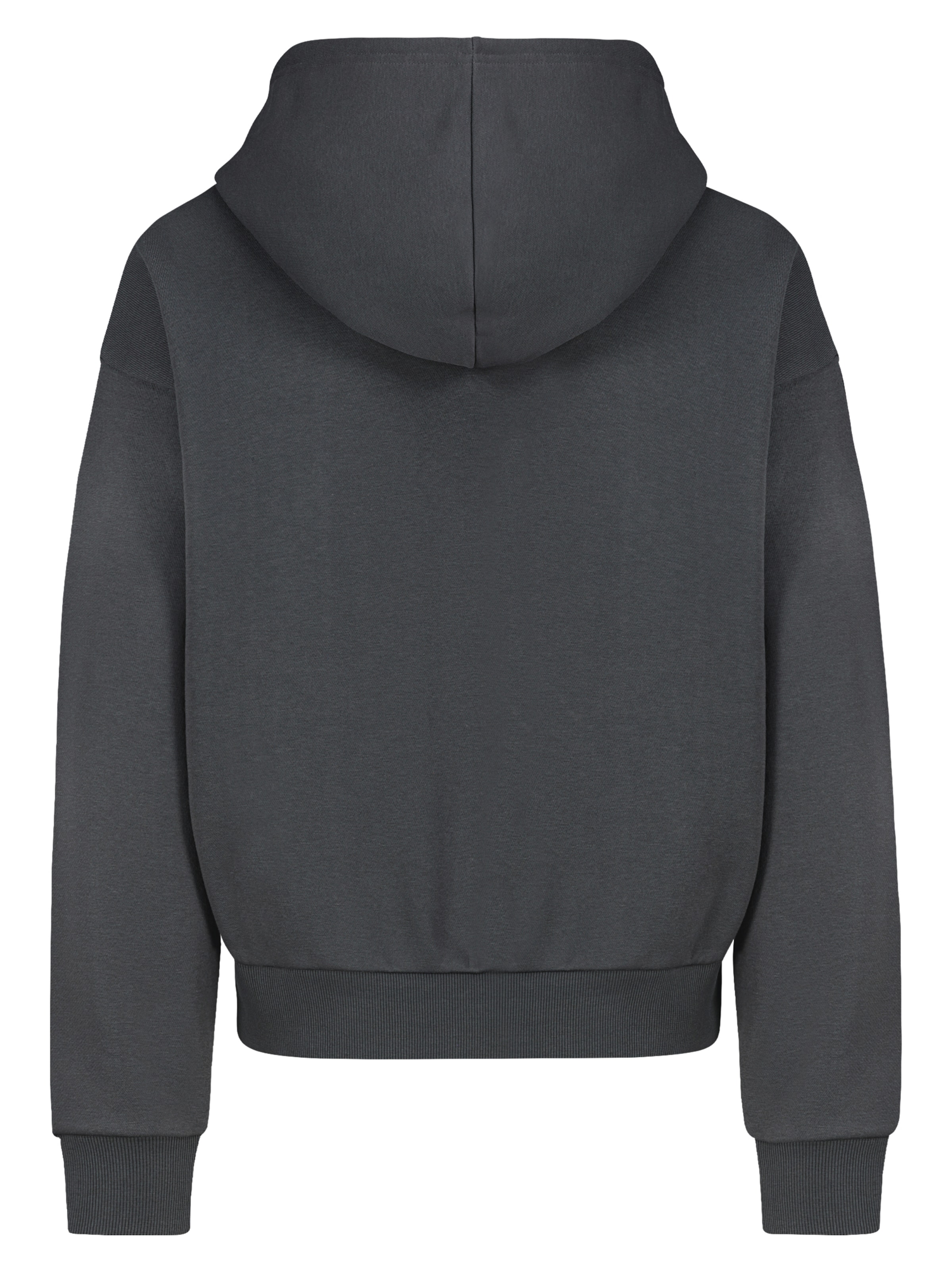 Sublevel Sweatjacke in Grau
