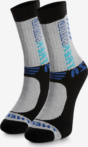 Crea Socks Sportsokken 'PRO-TECH' in Grijs: voorkant