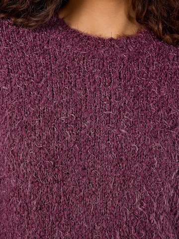 Pull-over Noisy may en violet