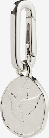 Pilgrim Riipus värissä hopea: etupuoli