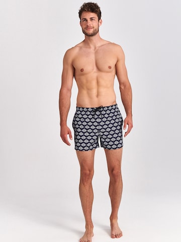 Shiwi Board Shorts 'Pyramid' in Blue