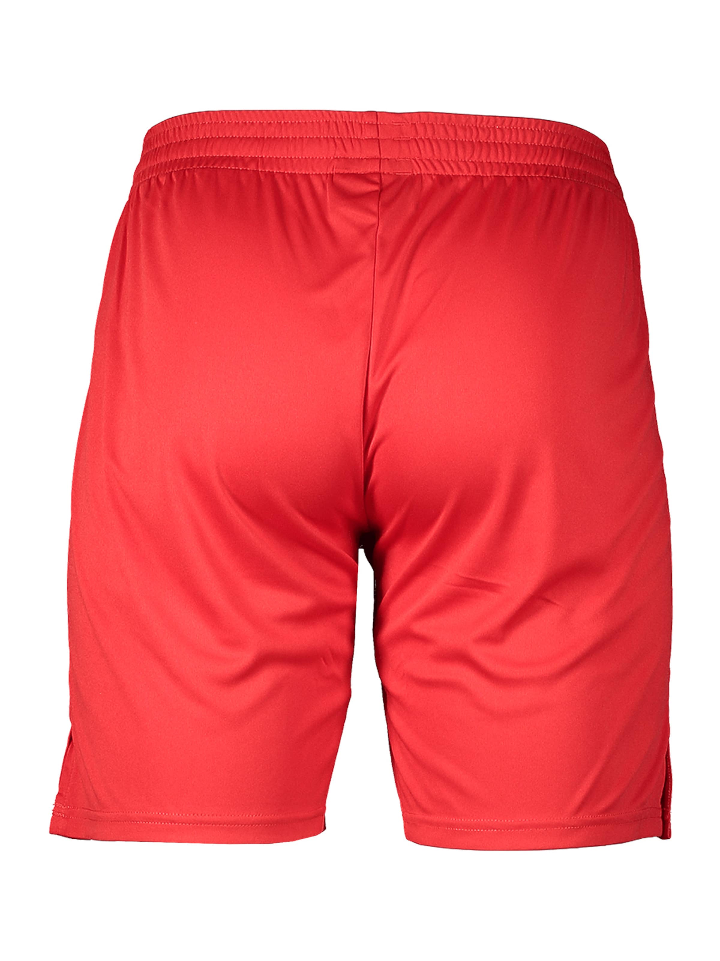 MIZUNO Обычный Спортивные штаны в Красный