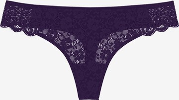 String 'Red Label Amourette' TRIUMPH en violet : devant