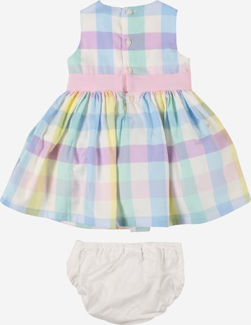 Carter's Dress in Mixed colors